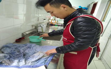 在哪可以學干洗技術？要學多久？